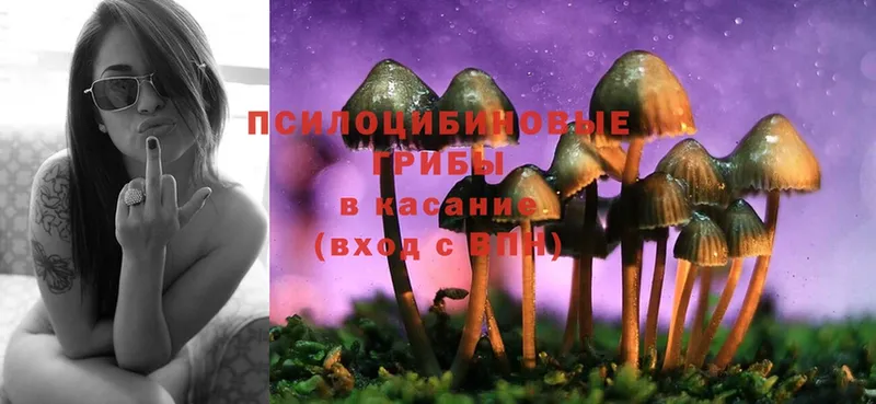 Галлюциногенные грибы MAGIC MUSHROOMS  ОМГ ОМГ онион  Тайга 